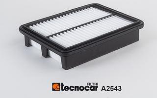 Tecnocar A2543 - Воздушный фильтр avtokuzovplus.com.ua