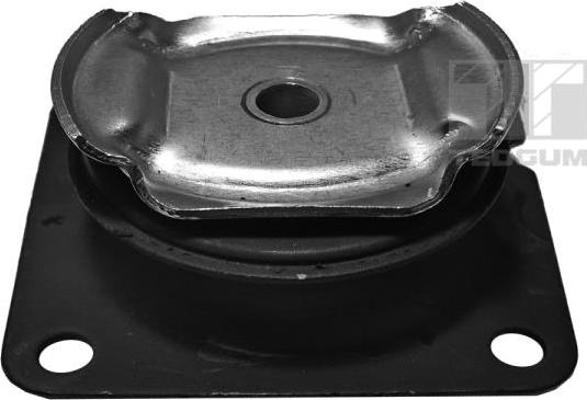 Tedgum 00089333 - Опора, диференціал autocars.com.ua