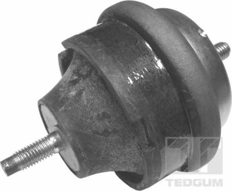 Tedgum 00145015 - Подушка, опора, подвеска двигателя autodnr.net