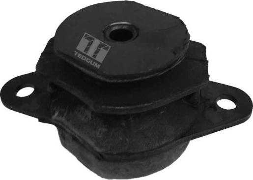 Tedgum 00212973 - Подушка, підвіска двигуна autocars.com.ua