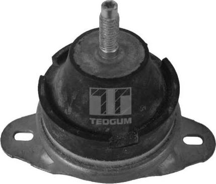 Tedgum 00214163 - Подушка, підвіска двигуна autocars.com.ua