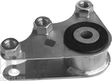 Tedgum 00219338 - Подушка, опора, подвеска двигателя autodnr.net