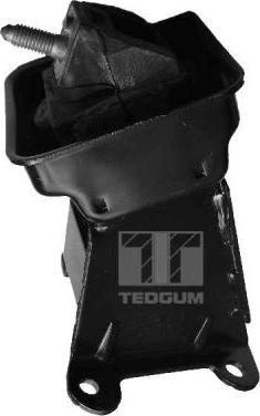 Tedgum 00223065 - Подушка, підвіска двигуна autocars.com.ua