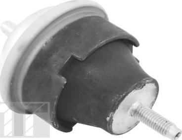 Tedgum 00243994 - Подушка, підвіска двигуна autocars.com.ua