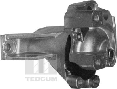 Tedgum 00269468 - Подушка, підвіска двигуна autocars.com.ua