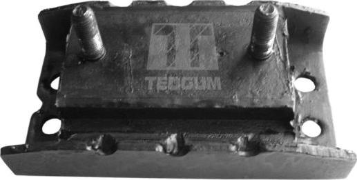 Tedgum 00504773 - Подушка, підвіска двигуна autocars.com.ua