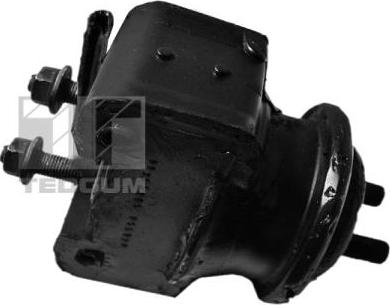 Tedgum 00395114 - Подушка, підвіска двигуна autocars.com.ua