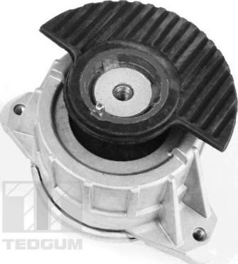 Tedgum 00418476 - Подушка, підвіска двигуна autocars.com.ua