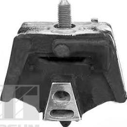 Tedgum 00504606 - Підвіска, тримач автоматичної коробки передач autocars.com.ua