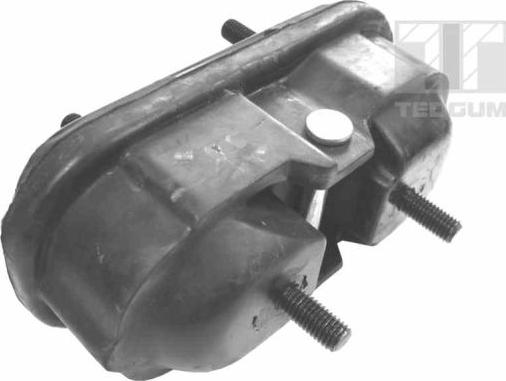 Tedgum 00541355 - Подушка, опора, подвеска двигателя autodnr.net