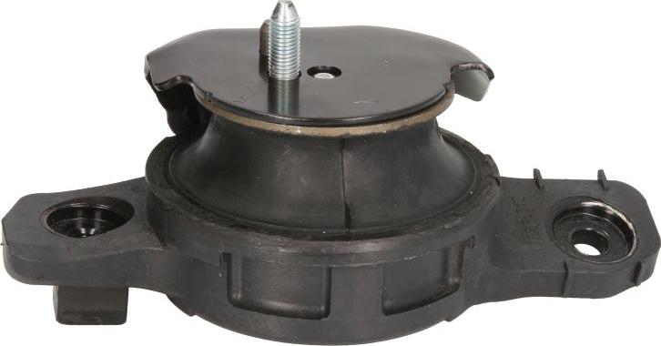 Tedgum 00649871 - Подушка, підвіска двигуна autocars.com.ua