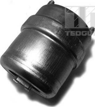 Tedgum 00720976 - Подушка, підвіска двигуна autocars.com.ua