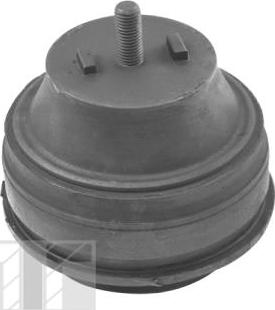 Tedgum 00725103 - Подушка, підвіска двигуна autocars.com.ua