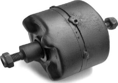 Tedgum 00745556 - Подушка, підвіска двигуна autocars.com.ua