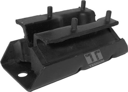 Tedgum 01142445 - Подушка, підвіска двигуна autocars.com.ua