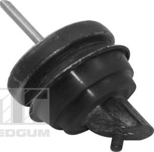 Tedgum TED11497 - Подушка, підвіска двигуна autocars.com.ua