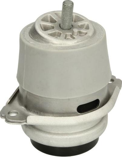 Tedgum TED15116 - Подушка, підвіска двигуна autocars.com.ua