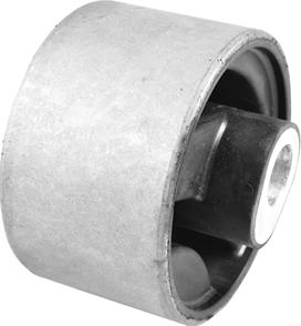 Tedgum TED16790 - Подушка, підвіска двигуна autocars.com.ua