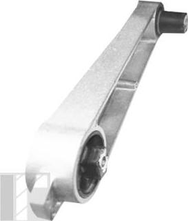 Tedgum TED19070 - Подушка, підвіска двигуна autocars.com.ua