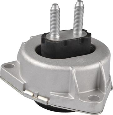 Tedgum TED25518 - Подушка, підвіска двигуна autocars.com.ua