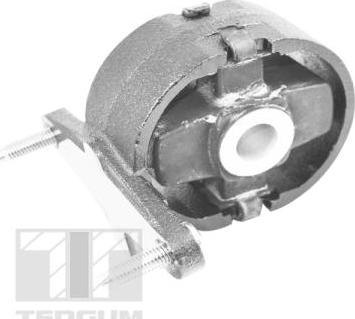 Tedgum TED26769 - Подушка, підвіска двигуна autocars.com.ua