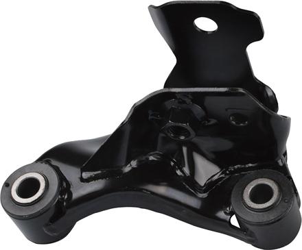 Tedgum TED31015 - Подушка, підвіска двигуна autocars.com.ua