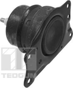 Tedgum TED40385 - Подушка, підвіска двигуна autocars.com.ua