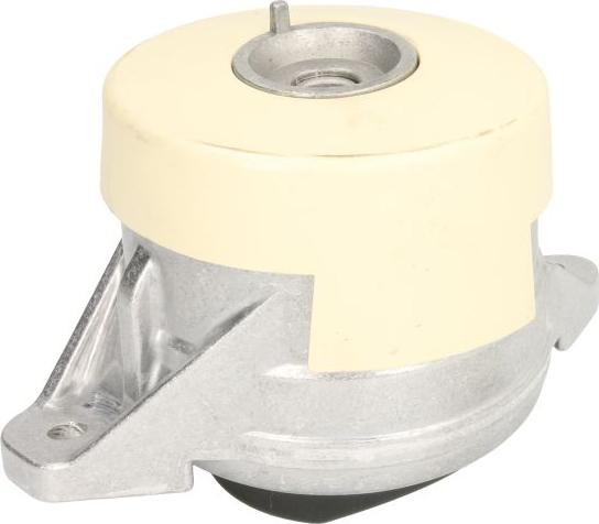 Tedgum TED46809 - Подушка, підвіска двигуна autocars.com.ua