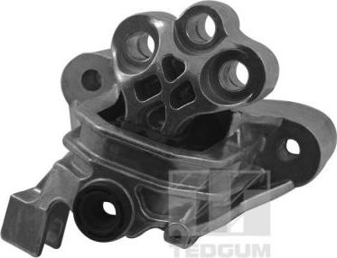 Tedgum TED57083 - Подушка, підвіска двигуна autocars.com.ua