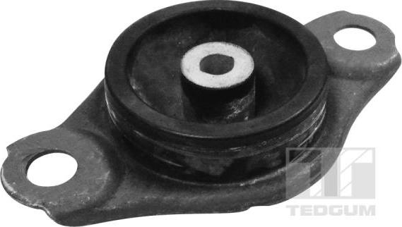 Tedgum TED58229 - Подушка, підвіска двигуна autocars.com.ua
