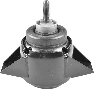 Tedgum TED68101 - Подушка, підвіска двигуна autocars.com.ua