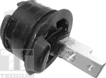 Tedgum TED70130 - Подушка, підвіска двигуна autocars.com.ua