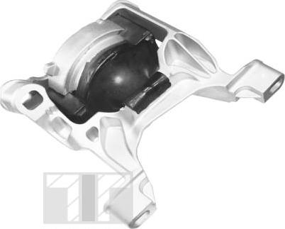 Tedgum TED96317 - Подушка, підвіска двигуна autocars.com.ua