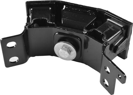 Tedgum TED98324 - Подушка, підвіска двигуна autocars.com.ua