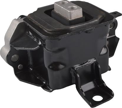 Tedgum TED98772 - Подушка, підвіска двигуна autocars.com.ua