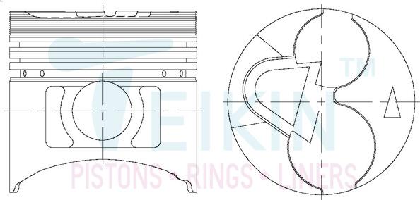 Teikin 43171.025 - Поршень autocars.com.ua