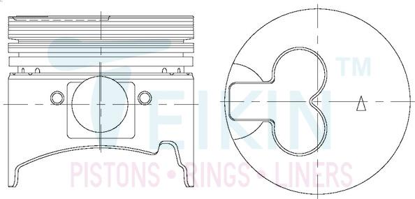 Teikin 43613A.050 - Поршень autocars.com.ua