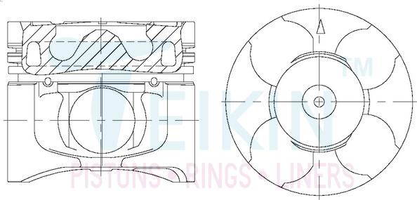 Teikin 43678.050 - Поршень autocars.com.ua