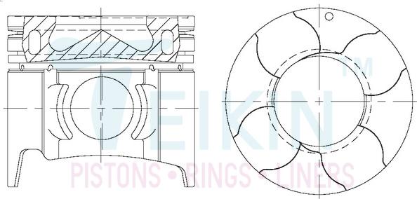 Teikin 43681AG.050 - Поршень autocars.com.ua