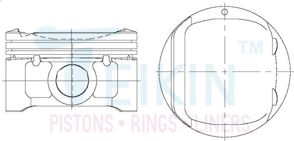 Teikin 44339.025 - Поршень autocars.com.ua