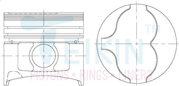 Teikin 44623AG.050 - Поршень avtokuzovplus.com.ua