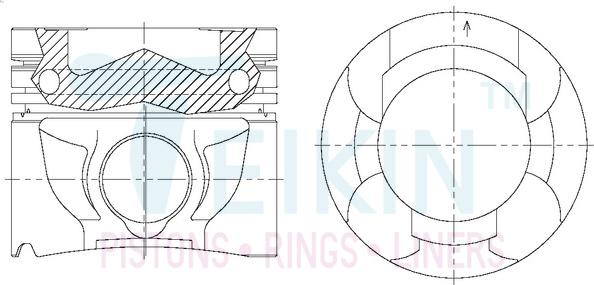Teikin 44697AG.STD - Поршень autocars.com.ua