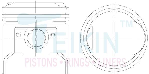 Teikin 46207.050 - Поршень autocars.com.ua