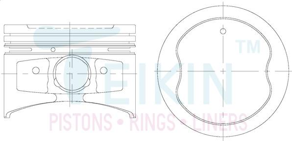 Teikin 46313.100 - Поршень autocars.com.ua