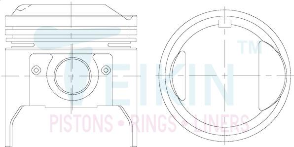 Teikin 46338.STD - Поршень autocars.com.ua