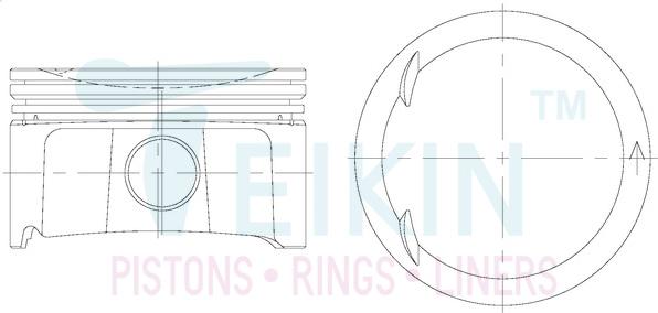 Teikin 48208.050 - Поршень autocars.com.ua