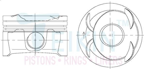 Teikin 48221.050 - Поршень autocars.com.ua