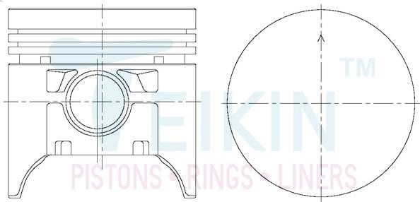 Teikin 59101.STD - Поршень autocars.com.ua
