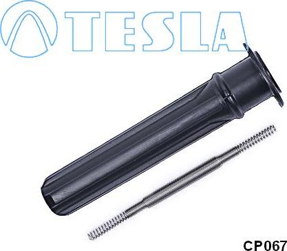 TESLA CP067 - Вилка, свеча зажигания avtokuzovplus.com.ua