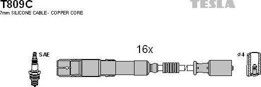 TESLA T809C - Комплект проводов зажигания avtokuzovplus.com.ua